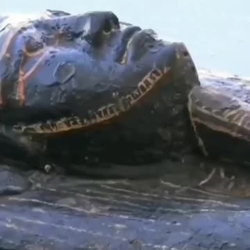 Egyptian Ministry of Antiquities