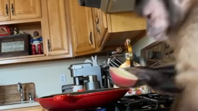 Ham and Gravy Gaitlyn Rae