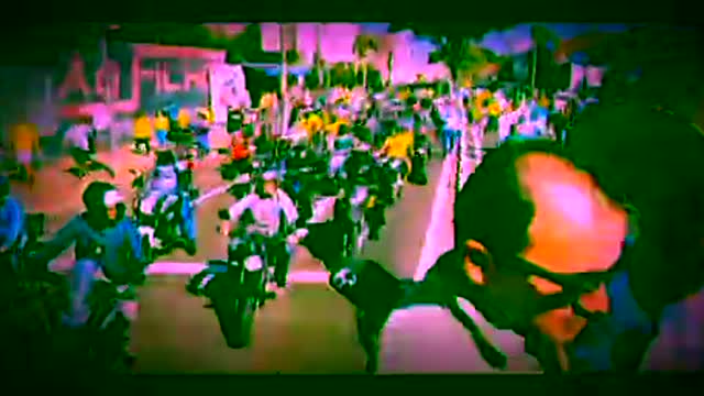Bolsonaro: 87a Expozebu