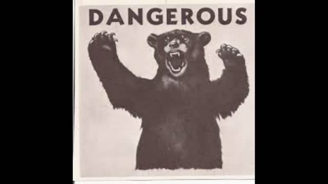 BLACK BEAR ATTACK
