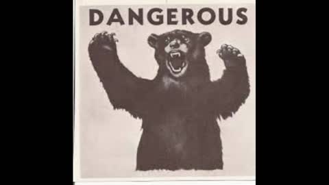 BLACK BEAR ATTACK