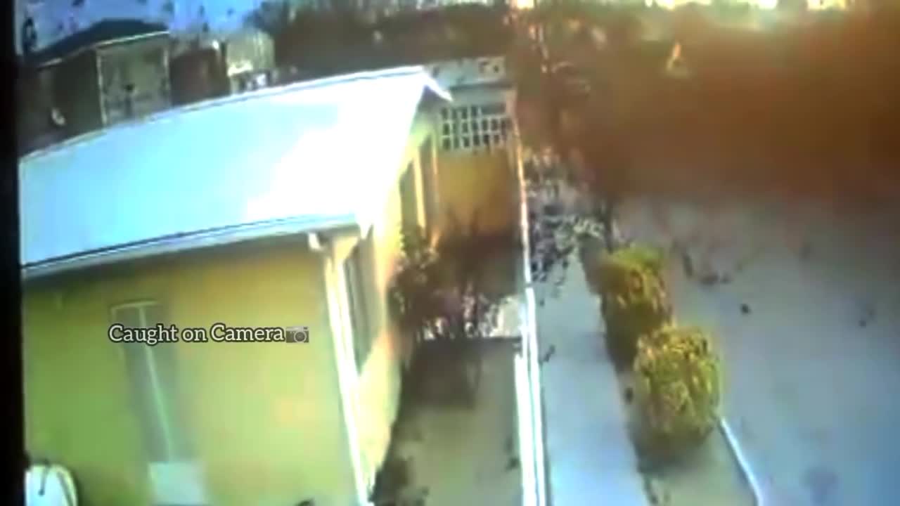 Thousands of birds fall from sky in mexico