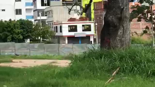 Arrancó la construcción del Portal en Piedecuesta