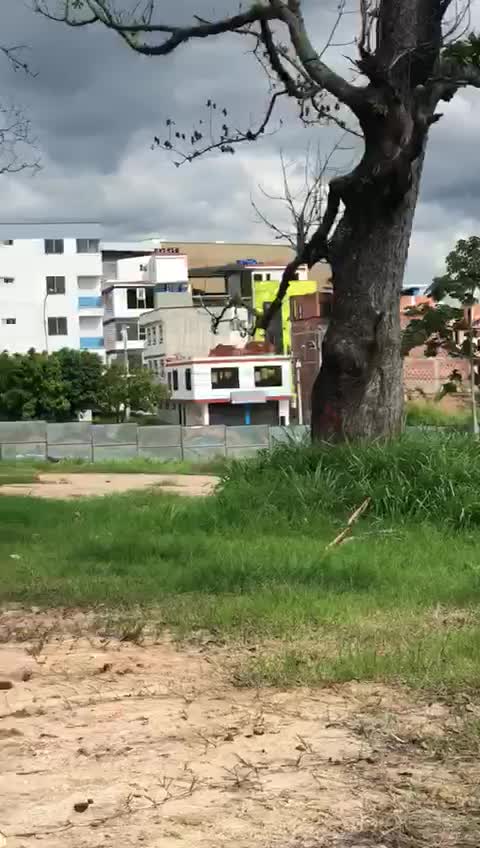 Arrancó la construcción del Portal en Piedecuesta