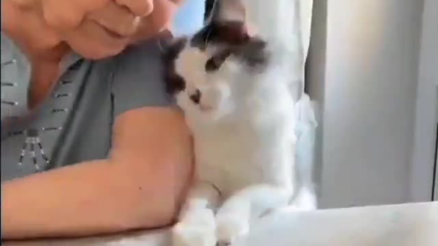 happy kat