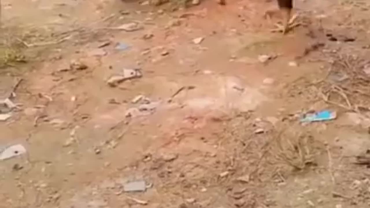 Funny video