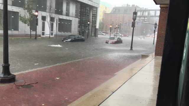 Man Uses Cup to Remove Water From His Waterlogged Car on Flooded Street