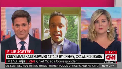 Manu Raju responds to cicada attack