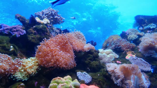 Omg underwater view 😍😍😍😍