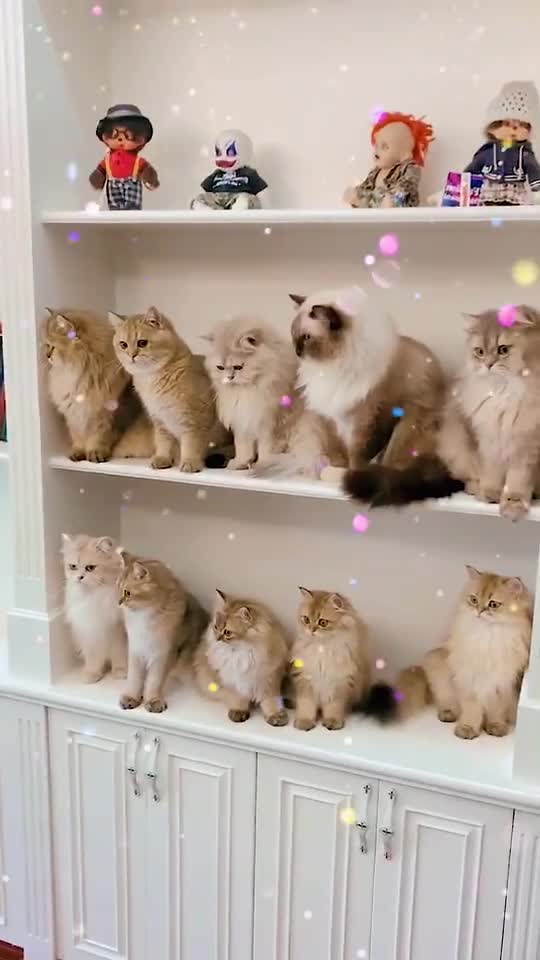 I’ll show you my magic.