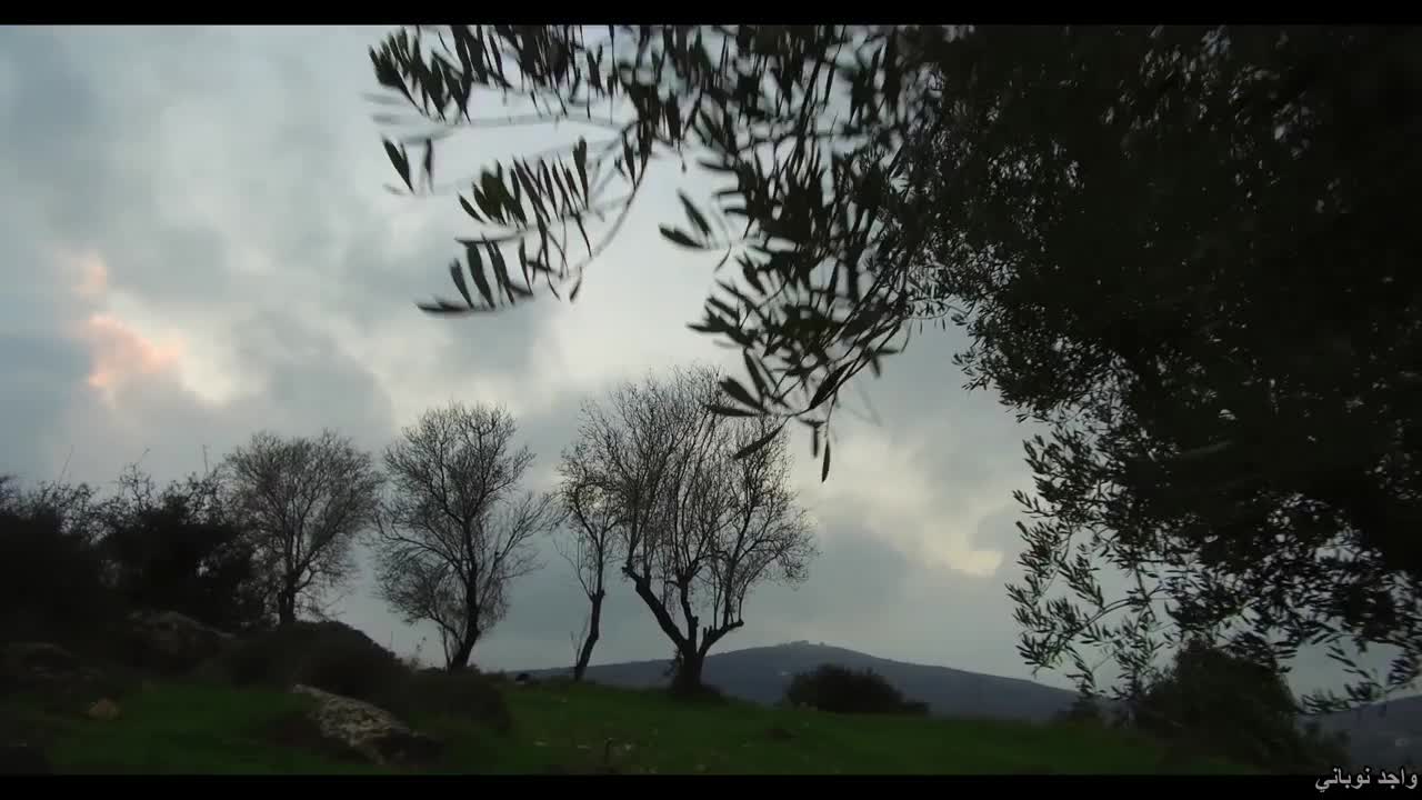 Today with sweet companionship on our mountains in Palestine