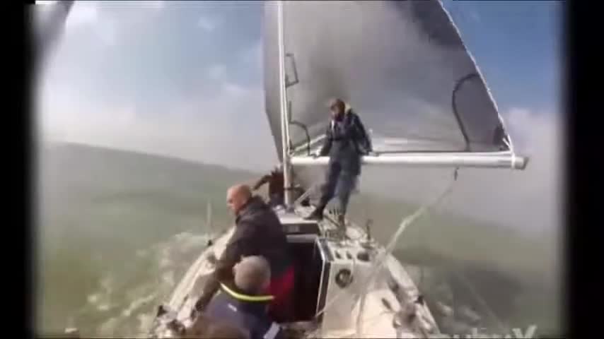 Compilation of Funny Videos with Animals and Sailors##