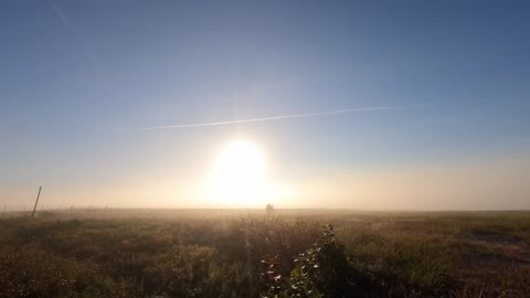 Burn off the fog