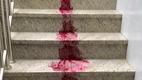 Golden Retriever Bites Owners bank card 😊 Funny Dog