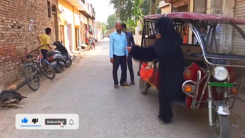 dogs are funny to be with