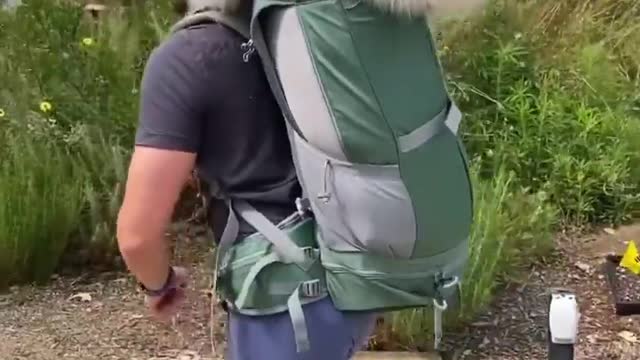The only way to go hiking with a dog