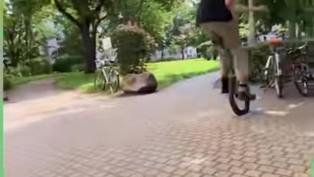 Something different at the skate park... 🤣🛹