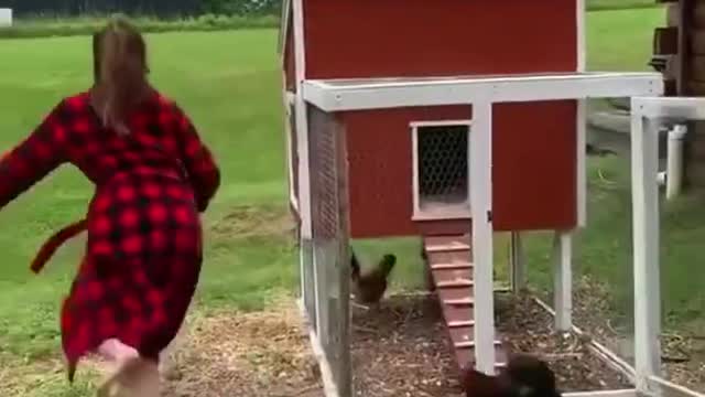 Girl And Angry Rooster