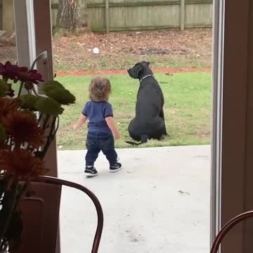 Mom catches toddler adorably walking out just to give dog a big hug