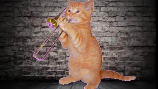 kitten trumpet