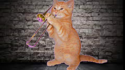 kitten trumpet