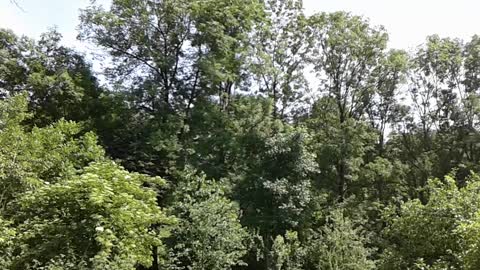 drugie wspomnienie z dzieciństwa