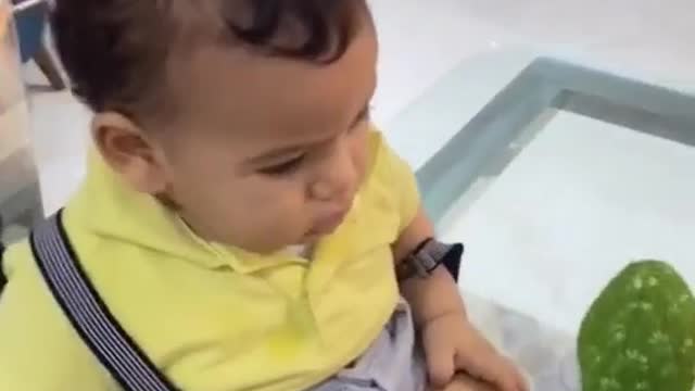 Funny video with baby