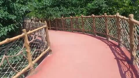 walk on the bridge