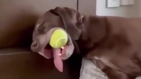 enjoy sleeping