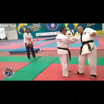 Hapkido