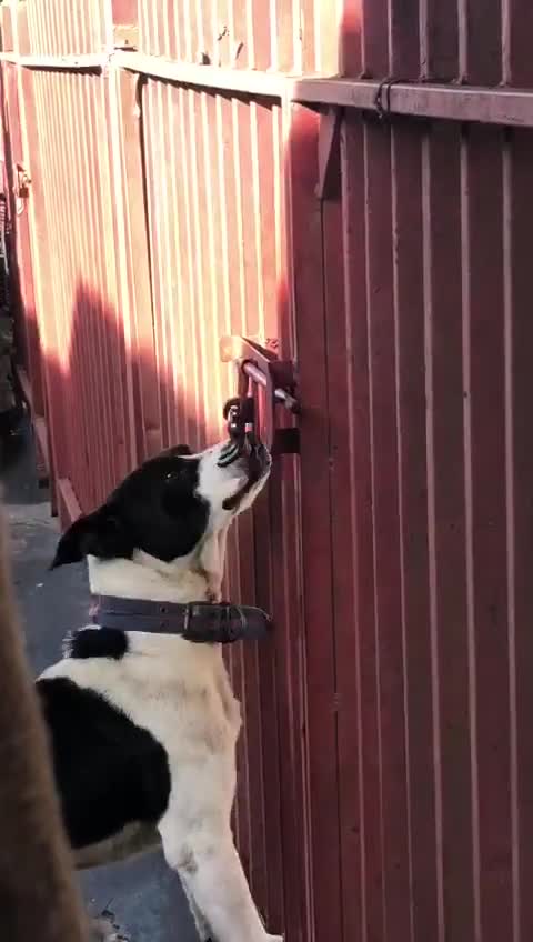 when you leave and don't take him with you