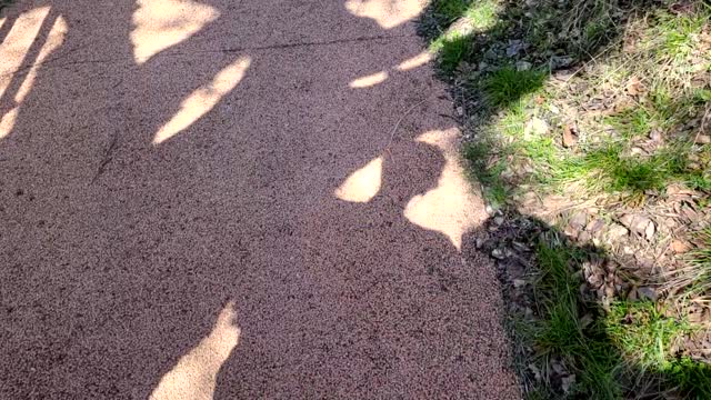 Walk through cherry blossom trees with boyfriend.