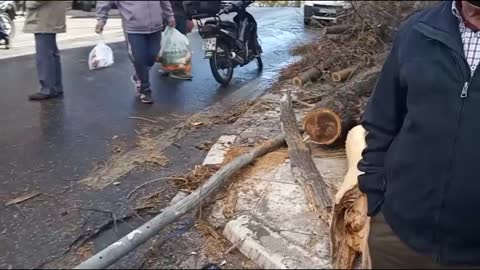 Λιοσίων: Τροχαίο (1)