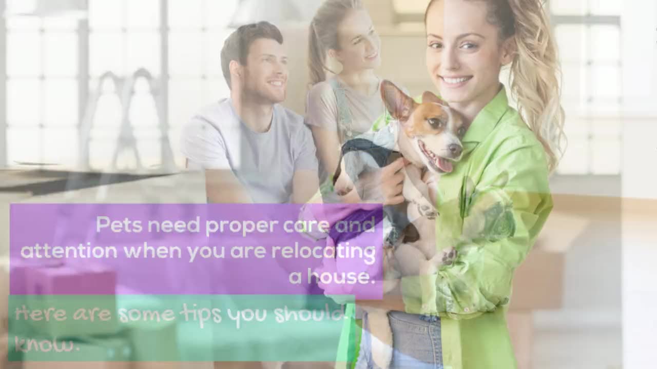 Moving With Pets? Tricks For Successful Move