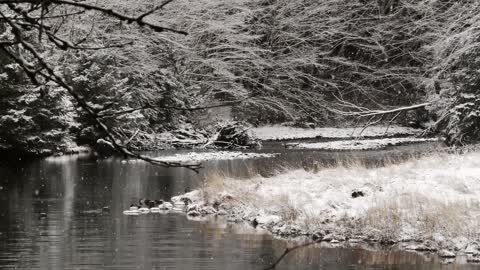 Snow over the river