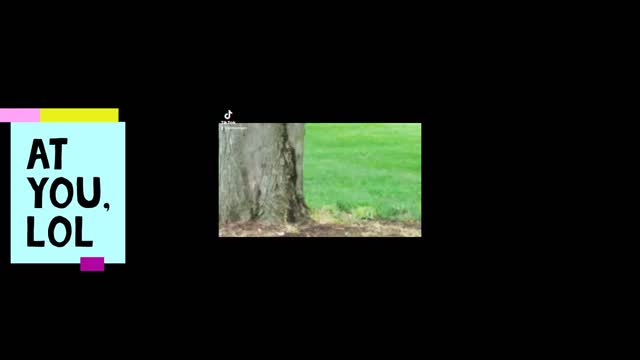 Talking To Animal Part 5