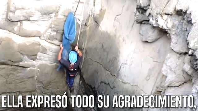 Una perrita perdió toda esperanza a punto de morir ahogada, pero todo cambio