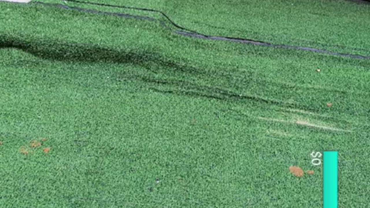 fatty demon pig - 2024 - November 18th part 001