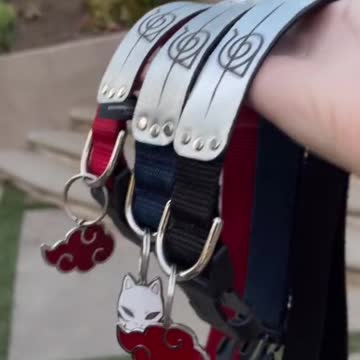 omg look at their Naruto dog collars