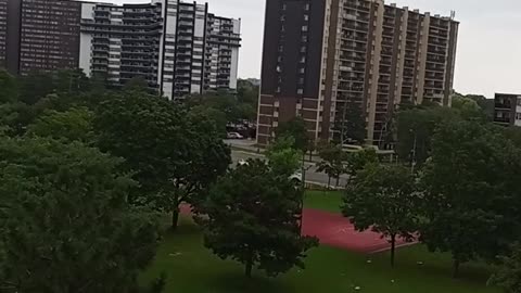 Capturing the Beauty of a Perfect Day: A Glimpse from My Terrace in the Gorgeous Weather ☀️🏞️