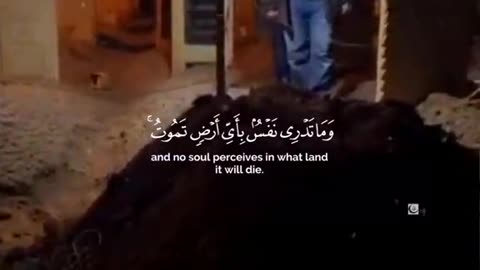 Tilawt -e-Quran ♥️♥️