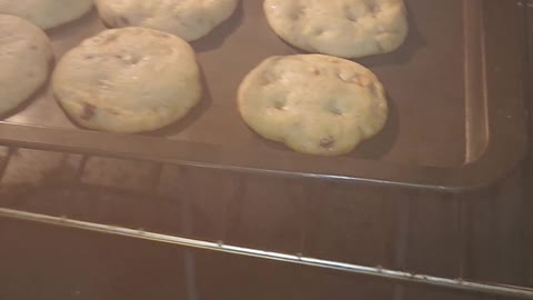 Yummy cookies!