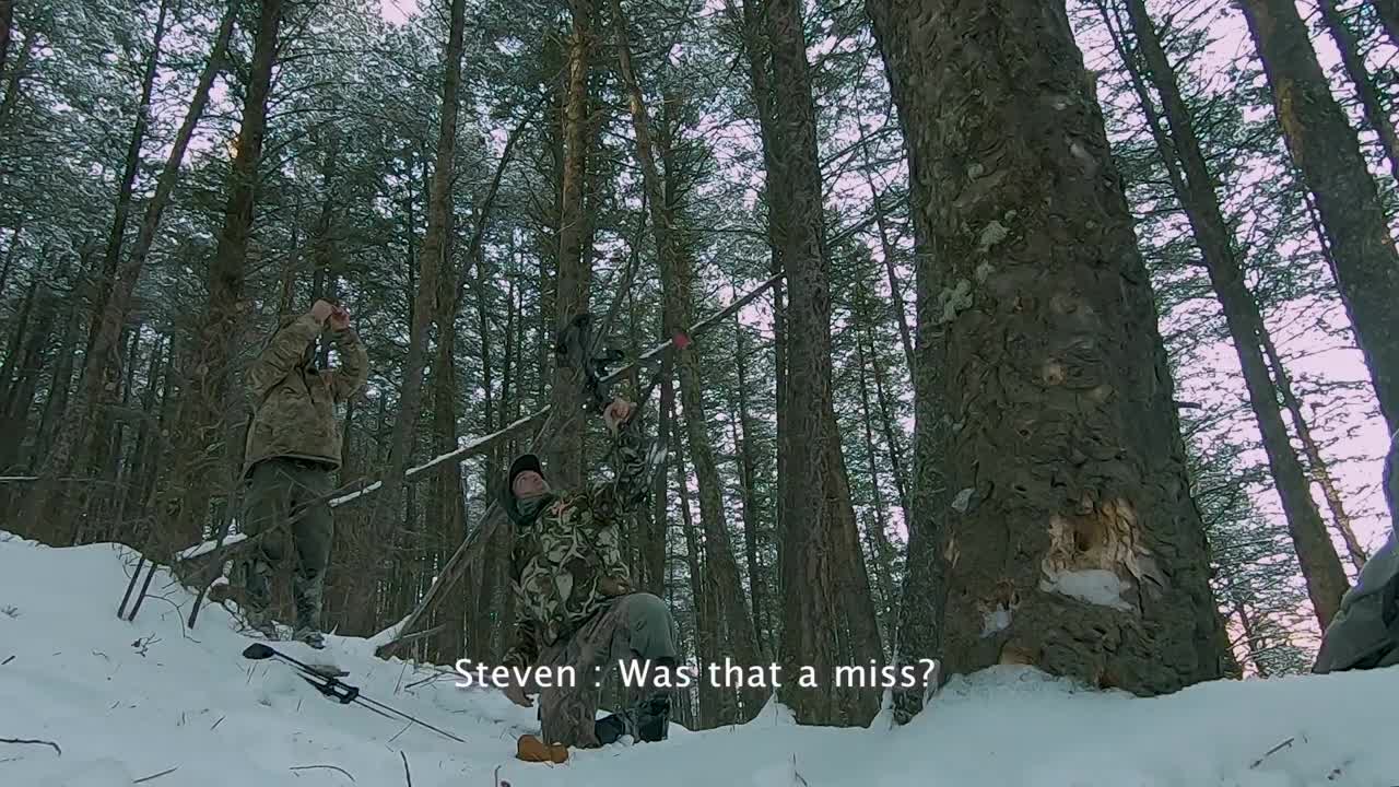 #12 - Archery Mountain Lion