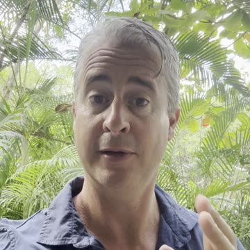 Learn to communicate like an Italian