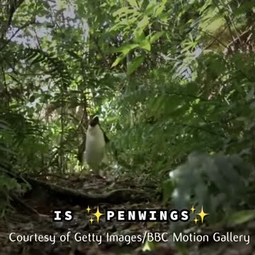 The wolf from penguins of madagascar mispronouncing the word "penguins"