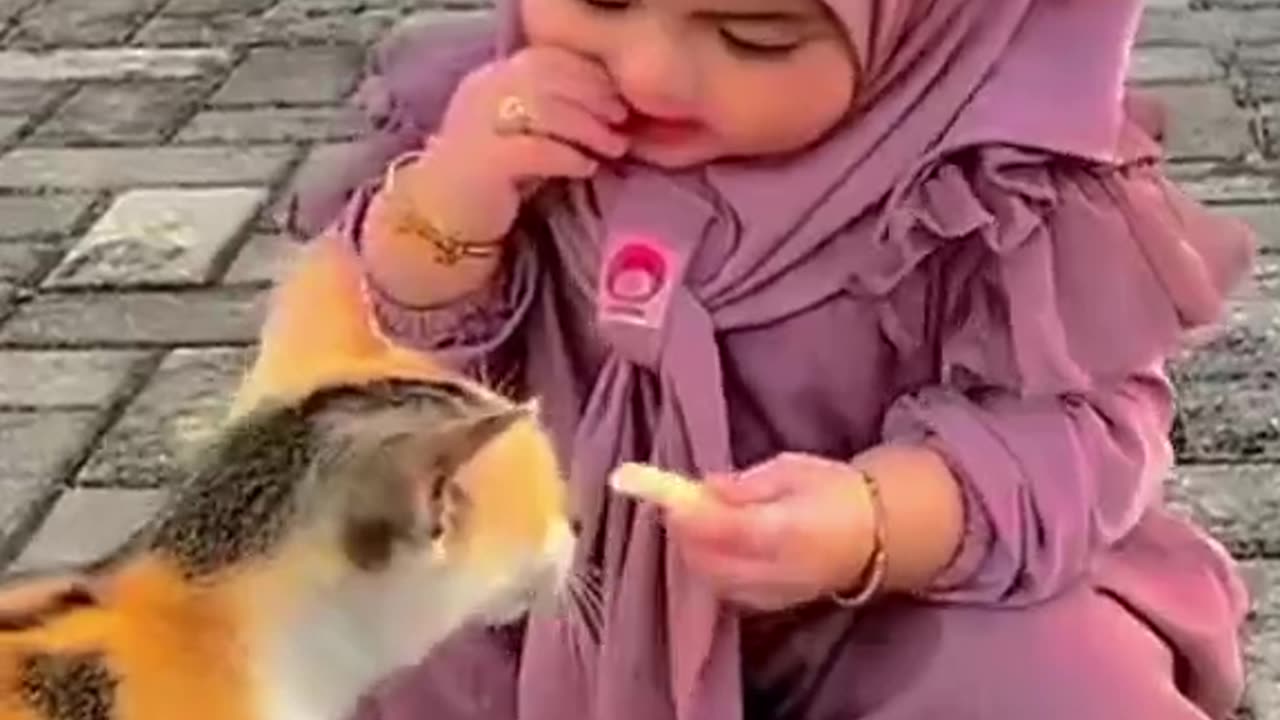 Cute child is playing with cat.Child loves the cat differently.