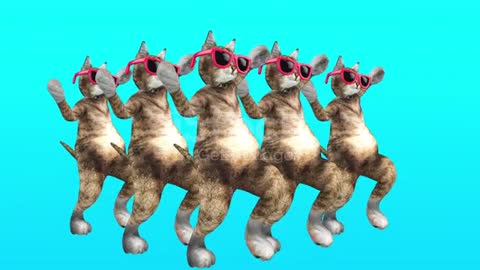 Choreography of cats for the world cup