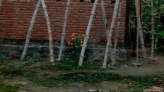 Nepali House Design