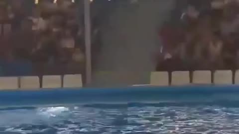 Jumping into pool