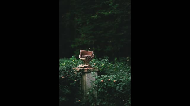 MEDITATION MUSIC, MEDITATION MUSIC FOR HEALING, HEALING MEDITATION, STRESS, RELAXATION, SLEEP MUSIC